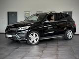 Mercedes-Benz ML 250 4Matic *AMG*Distro+*TotwASS*SpurASS*Pano* - Mercedes-Benz ML-Class