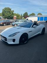 Jaguar F-Type 2.0 L P300 Turbo Chequered Flag Autom... - weiße Jaguar F-Type
