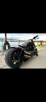 Harley-Davidson Night Rod VRSCDX Special  - Offers matching your search criteria