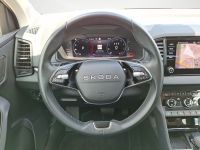 Skoda Karoq - Vorschau Bild 10
