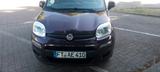 Fiat Panda - Fiat Panda Gebrauchtwagen in Mannheim