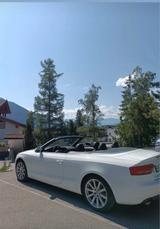 Audi A5 2.0 TFSI 132kW multitronic Cabriolet - - Audi: Multitronic