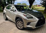 Lexus NX 300 h FWD - Lexus NX 350h Gebrauchtwagen