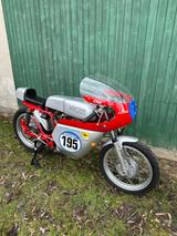 Ducati 350 Königswelle Desmo - DUCATI VON 251 BIS 500 CCM