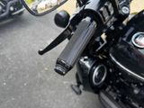 Harley-Davidson ROAD KING SPECIAL*FLHRS*VIELE EXTRAS - Angebote entsprechen deinen Suchkriterien