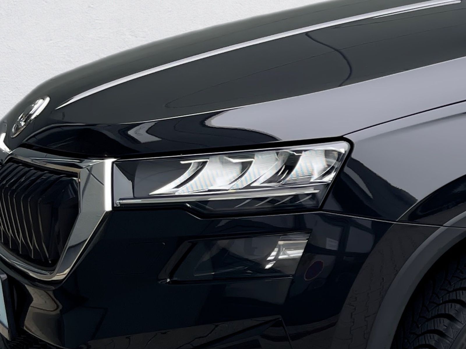 Skoda Karoq - Bild 13