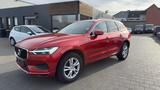 Volvo XC 60 XC60 Momentum - rote Volvo XC60