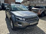 Land Rover Range Rover Evoque Pure Technik*Leder*Navi*Xenon - Land Rover Range Rover Evoque mit Diesel-Antrieb