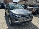 Land Rover Range Rover Evoque Pure Technik*Leder*Navi*Xenon - Land Rover Range Rover Evoque aus 2014