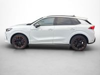 Cupra Terramar - Vorschau Bild 3