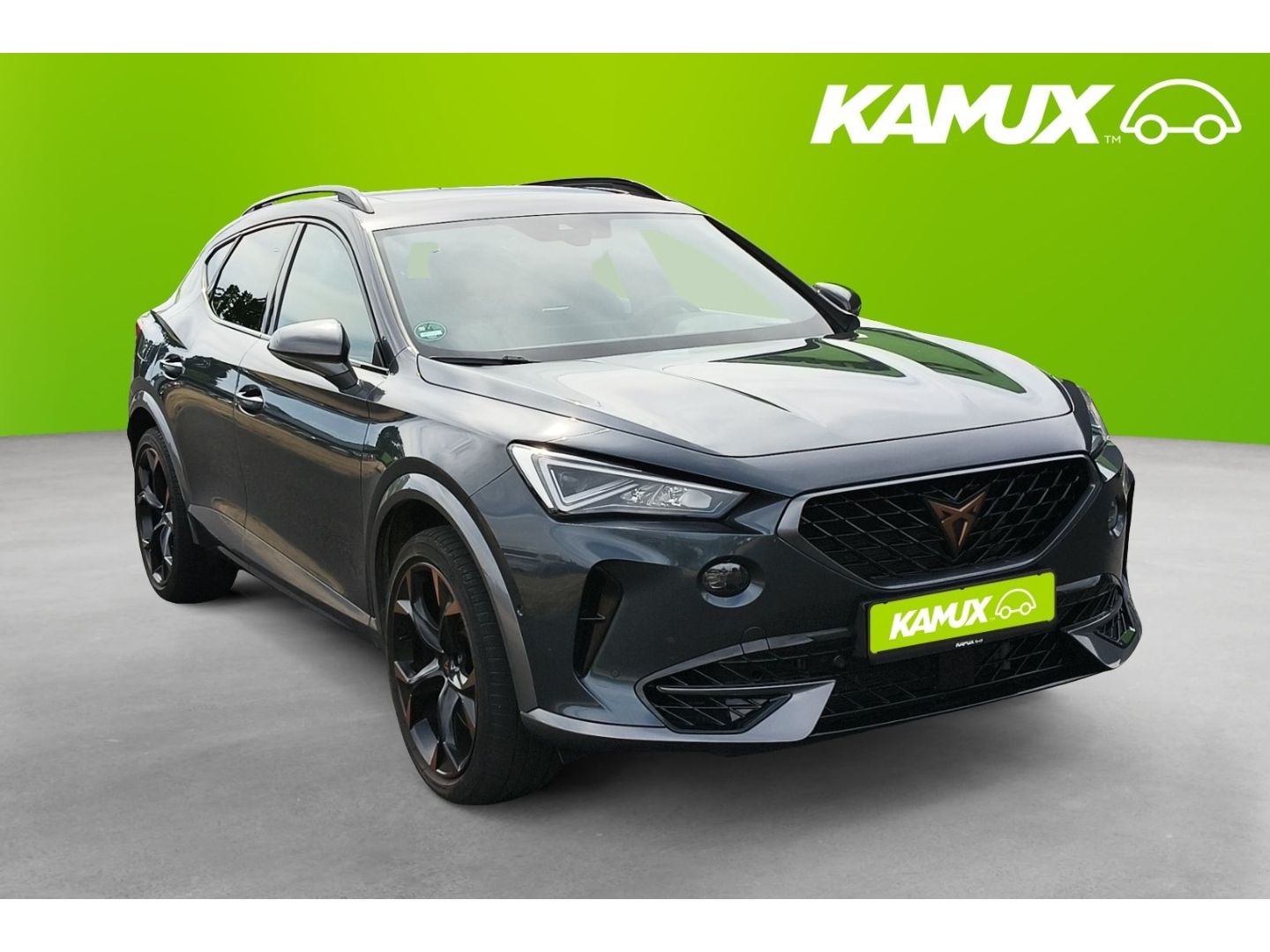 Cupra Formentor 2.0TSI 4Drive DSG VZ+LED+NAVI+PANO