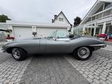 Jaguar E-Type, Serie 2, 4,2 Liter - Jaguar in Osnabrück