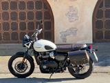 Triumph Street Scrambler 900 - TRIUMPH 900 SCRAMBLER