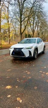 Lexus UX 250h F SPORT F SPORT - Lexus UX aus 2019