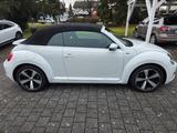 Volkswagen New Beetle Cabrio Top gepflegt - Volkswagen New Beetle: Cabrio