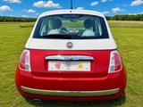 Fiat Sondermodell Fiat 500 1.2 Pop, Rot/Weiß TÜV neu  - Fiat 500: Weis
