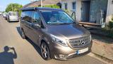 Mercedes-Benz V 250 d Marco Polo ACTIVITY 4MATIC - Allradantrieb Kastenwagen