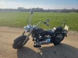 Harley-Davidson Fat Boy EVO FLSTF 1999 (Softtail) - HARLEY-DAVIDSON 1999 FAT BOY