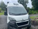 Peugeot Boxer - Peugeot Wohnmobil oder -wagen Boxer