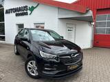 Opel Grandland (X) Edition/AHK/TEMP/PDC/GJR/LMF/KLIMA - Opel Grandland (X) in Lübeck