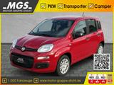 Fiat Panda Pandina POP Hybrid #KLIMA #PARKSENSOREN - Fiat Panda POP mit Hybrid-Antrieb (Benzin/Elektro)