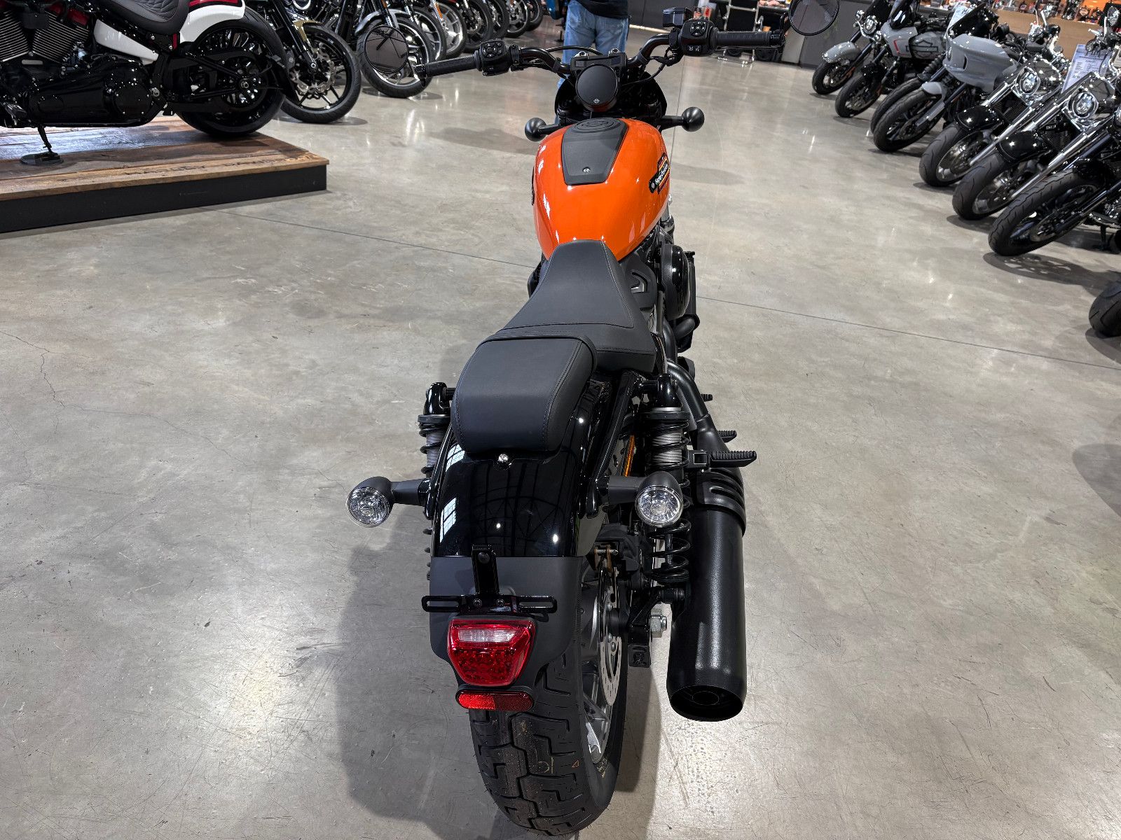 Fahrzeugabbildung Harley-Davidson Nighster Spezial 975T