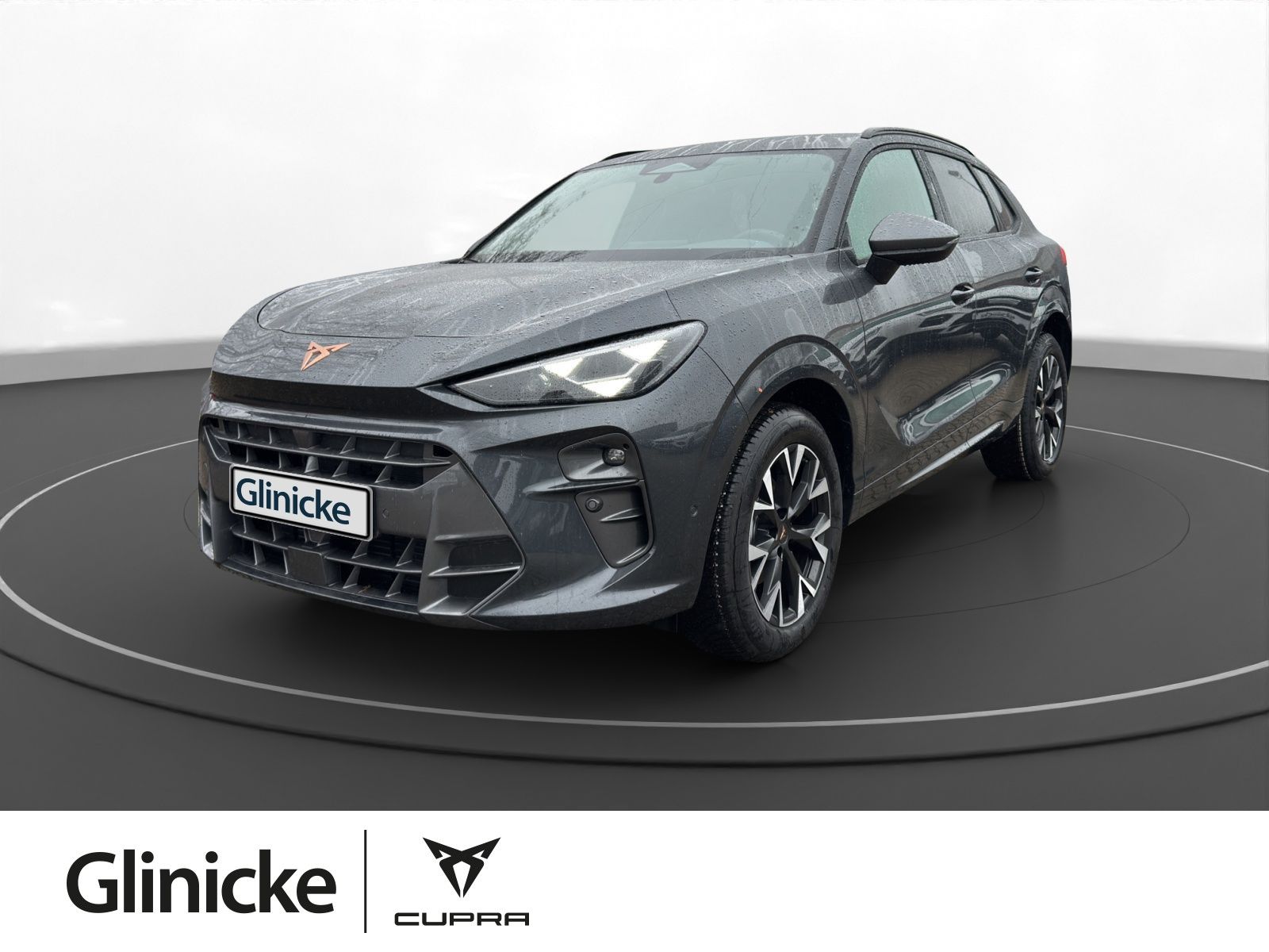 Cupra Terramar 1.5 eTSI DSG LED Navi PDC SHZ