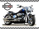 Harley-Davidson Softail Heritage DELUXE [ FLSTN ] - HARLEY-DAVIDSON HERITAGE DELUXE