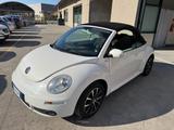 Volkswagen New Beetle 1.4 Cabrio - Volkswagen New Beetle mit Benzin-Antrieb: Cabrio, 1.4