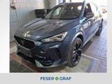 Cupra Formentor VZ 2.0 TSI DSG Navi Kamera LED SiHz - Cupra Formentor in Nürnberg