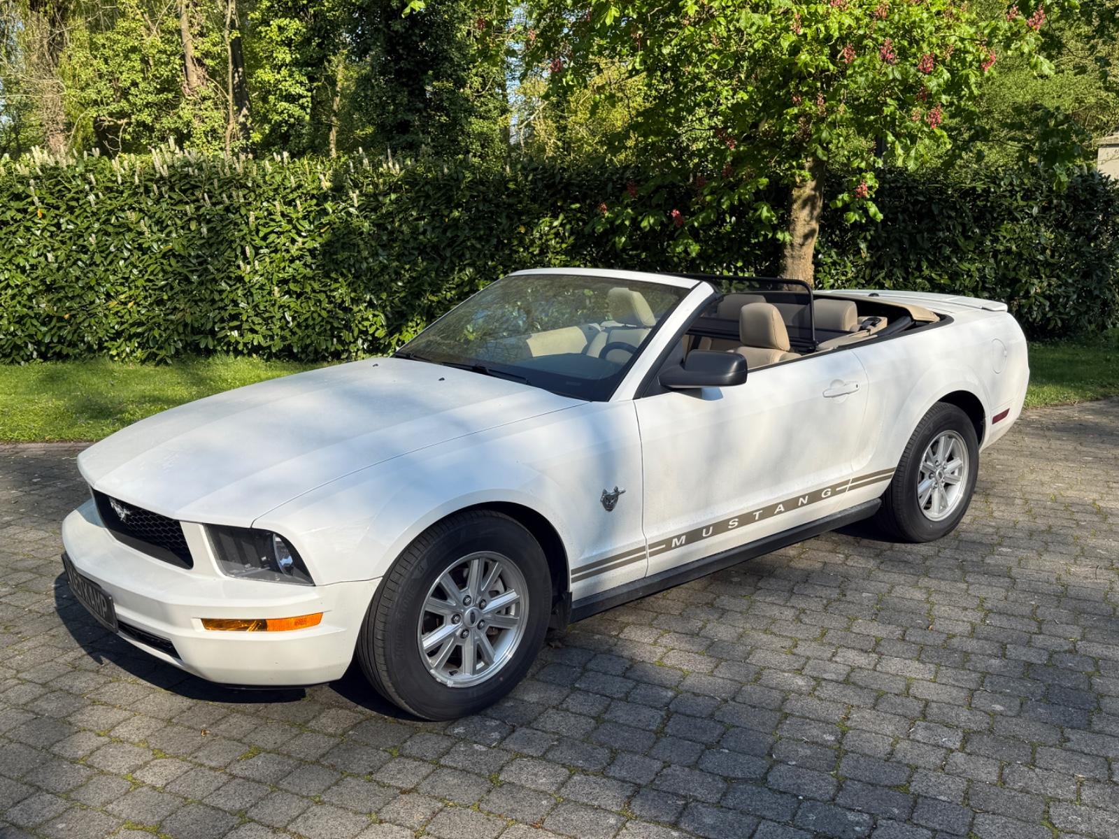 Ford Mustang Cabrio 45th anniversary