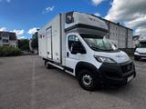 Fiat Ducato 250 mit Topsleeper / Tacho / Anhängerkupp