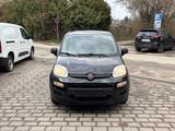 Fiat Panda Pop - Fiat Panda: Schwarz