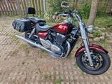 Triumph Thunderbird Commander - TRIUMPH THUNDERBIRD COMMANDER