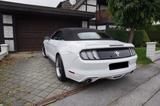 Ford Mustang 2.3 EcoBoost Cabrio - Ford Mustang mit Benzin-Antrieb: Cabrio, Automatik