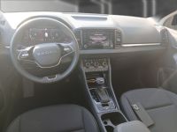 Skoda Karoq - Vorschau Bild 13