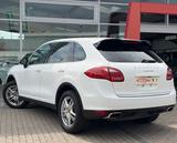 Porsche Cayenne S/BOSE/MEMORY/WINTERPAKET/KESSY - Porsche Cayenne: Weiß