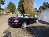 Mercedes-Benz CLK 200 KOMPRESSOR ELEGANCE  - Mercedes-Benz CLK 200: Sportwagen
