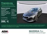 Skoda Octavia Combi Scout 4x4 2,0 TDI DSG Navi ACC HUD - Skoda: Combi Scout