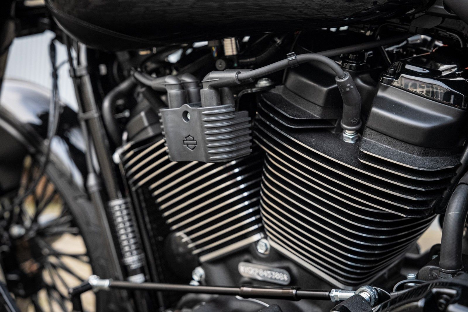 Fahrzeugabbildung Harley-Davidson SPECIAL DARK FAT BOY FLFBS 114 MY24