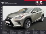 Lexus NX 300h 2.5 Hybrid Amazing Edition LED KAMERA - silberne Lexus NX-Serie