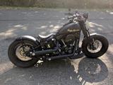 Harley-Davidson Crossbones, FLSTSB,  CROSS BONES  - HARLEY-DAVIDSON FLSTS