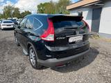 Honda CR-V Executive 4WD Panorama Leder Kamera Navi - Honda CR-V: Executive