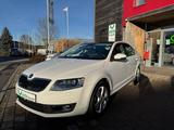 Skoda Octavia Lim. Elegance Panorama Xenon Navi AHK - Skoda Octavia mit Diesel-Antrieb: Limousine