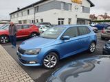 Skoda Fabia 1.0l MPI 44kW Active Active - Skoda Fabia von privat