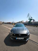 Ford Mustang 2.3 EcoBoost Unfallfrei  - gebrauchte Ford Mustang aus dem Jahr 2017