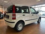 Fiat Panda 1.2 8V Classic - Fiat Panda Classic