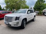 Cadillac Escalade 6.2 V8 Platinum  - Cadillac Escalade: Platinum