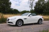 Mercedes-Benz SLK 200 Automatik / Glas Panorama Dach - : Cabrio, Dach
