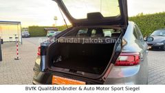 RENAULT Arkana/R.S. Line/SonderModell/TÜV&Service Neu